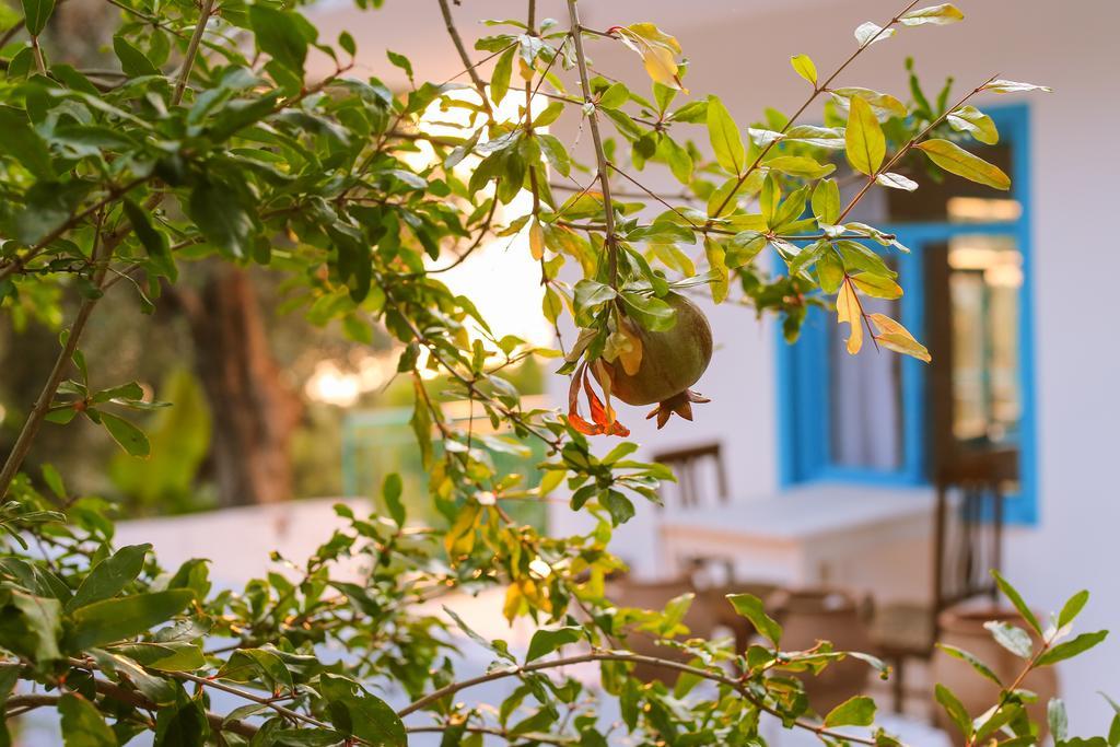 Villa Kaktus Cakil Kaş Exterior foto