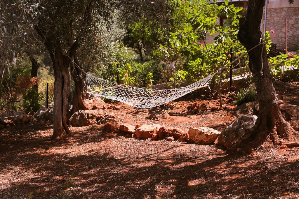 Villa Kaktus Cakil Kaş Exterior foto