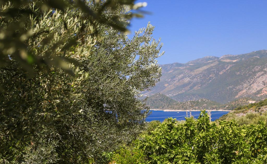 Villa Kaktus Cakil Kaş Exterior foto